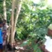 3-year-old girl found dead with body parts missing at Sefwi Awaso